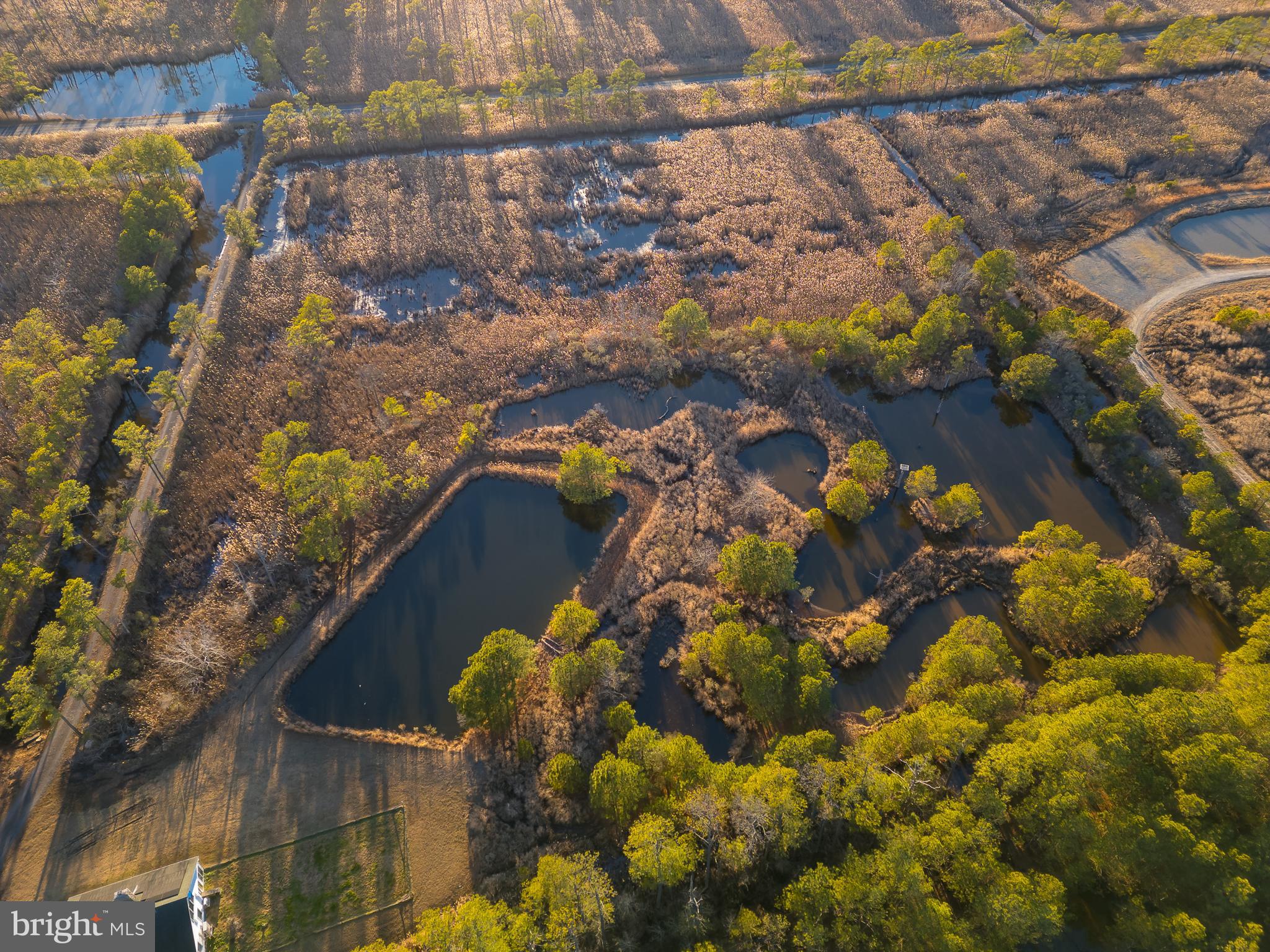 3819 Maple Dam Road Cambridge, MD 21613 - Photo 67 of 79