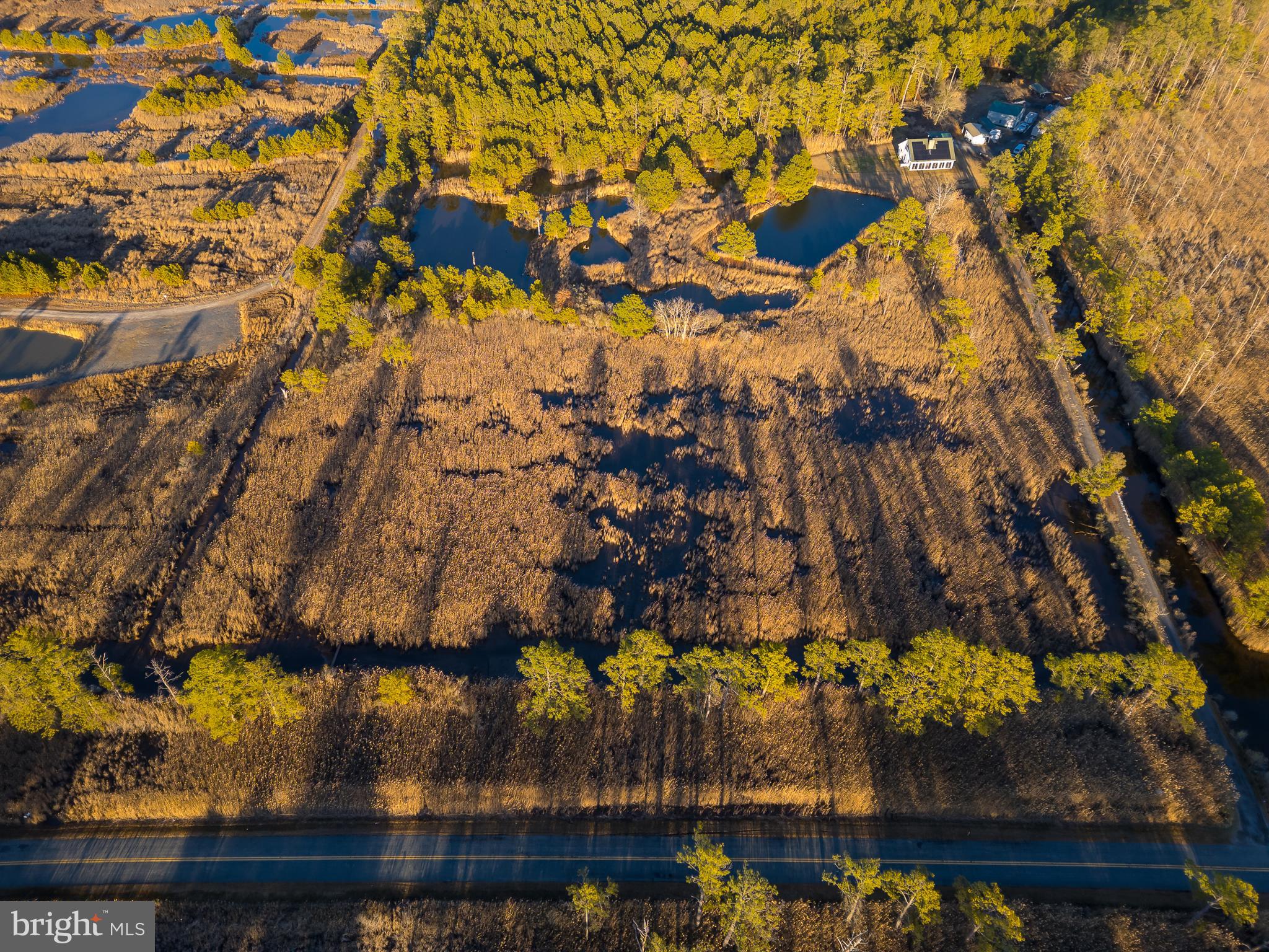 3819 Maple Dam Road Cambridge, MD 21613 - Photo 70 of 79
