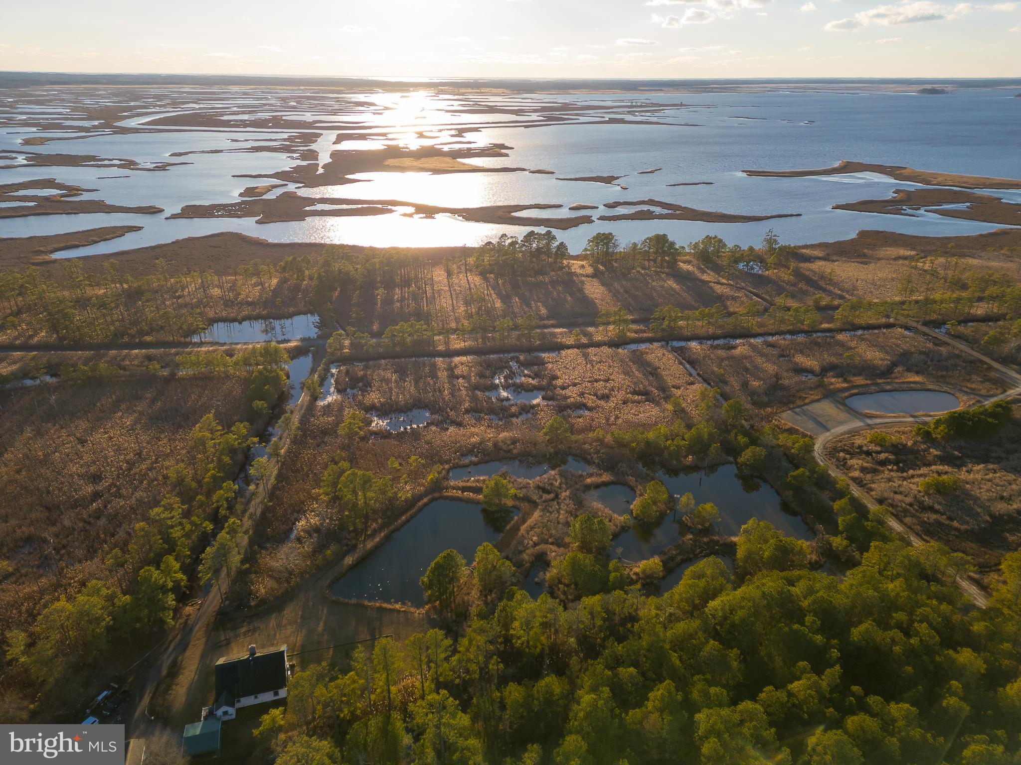 3819 Maple Dam Road Cambridge, MD 21613 - Photo 73 of 79