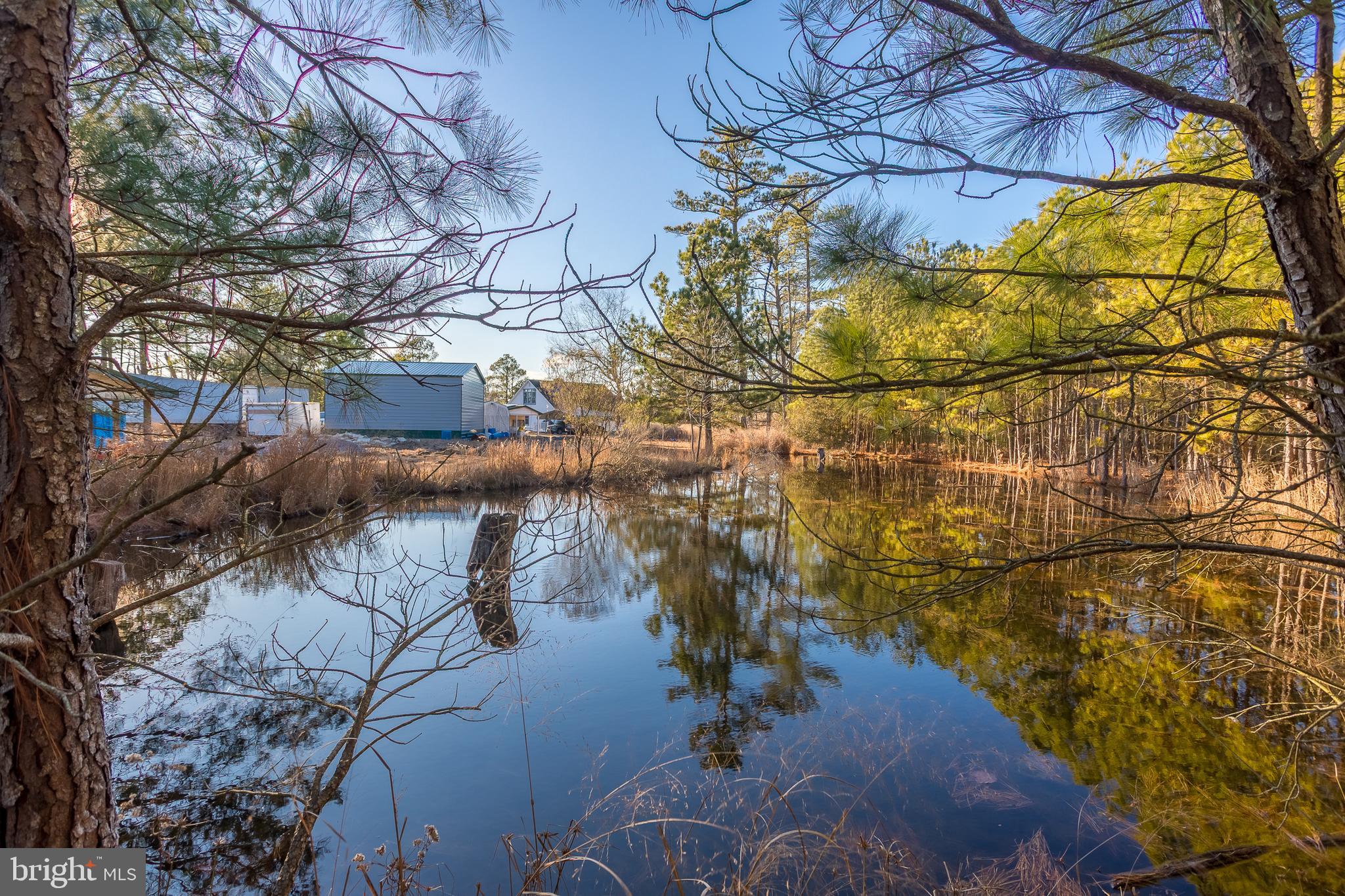 3819 Maple Dam Road Cambridge, MD 21613 - Photo 77 of 79