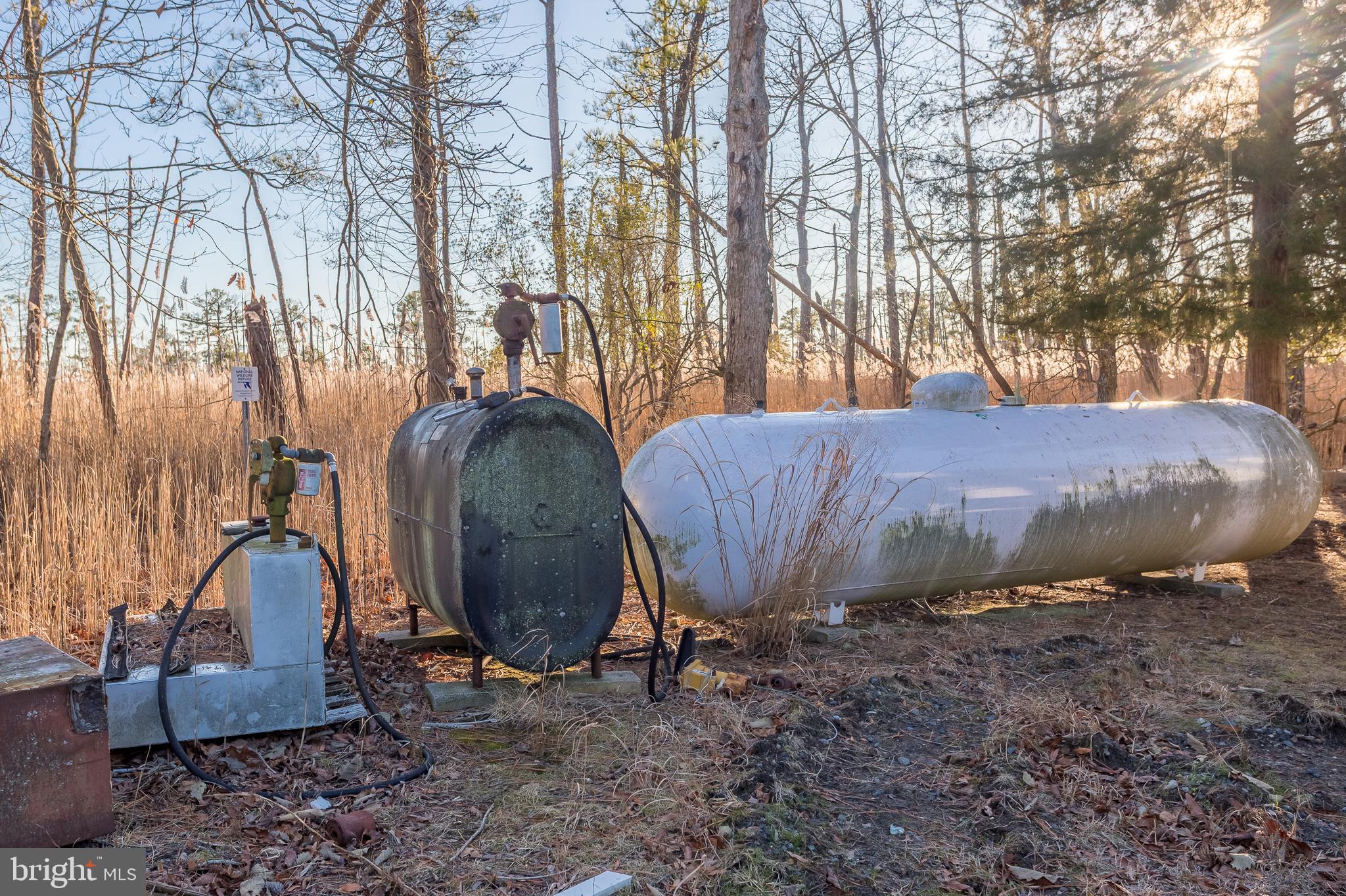 3819 Maple Dam Road Cambridge, MD 21613 - Photo 79 of 79 a view of a backyard