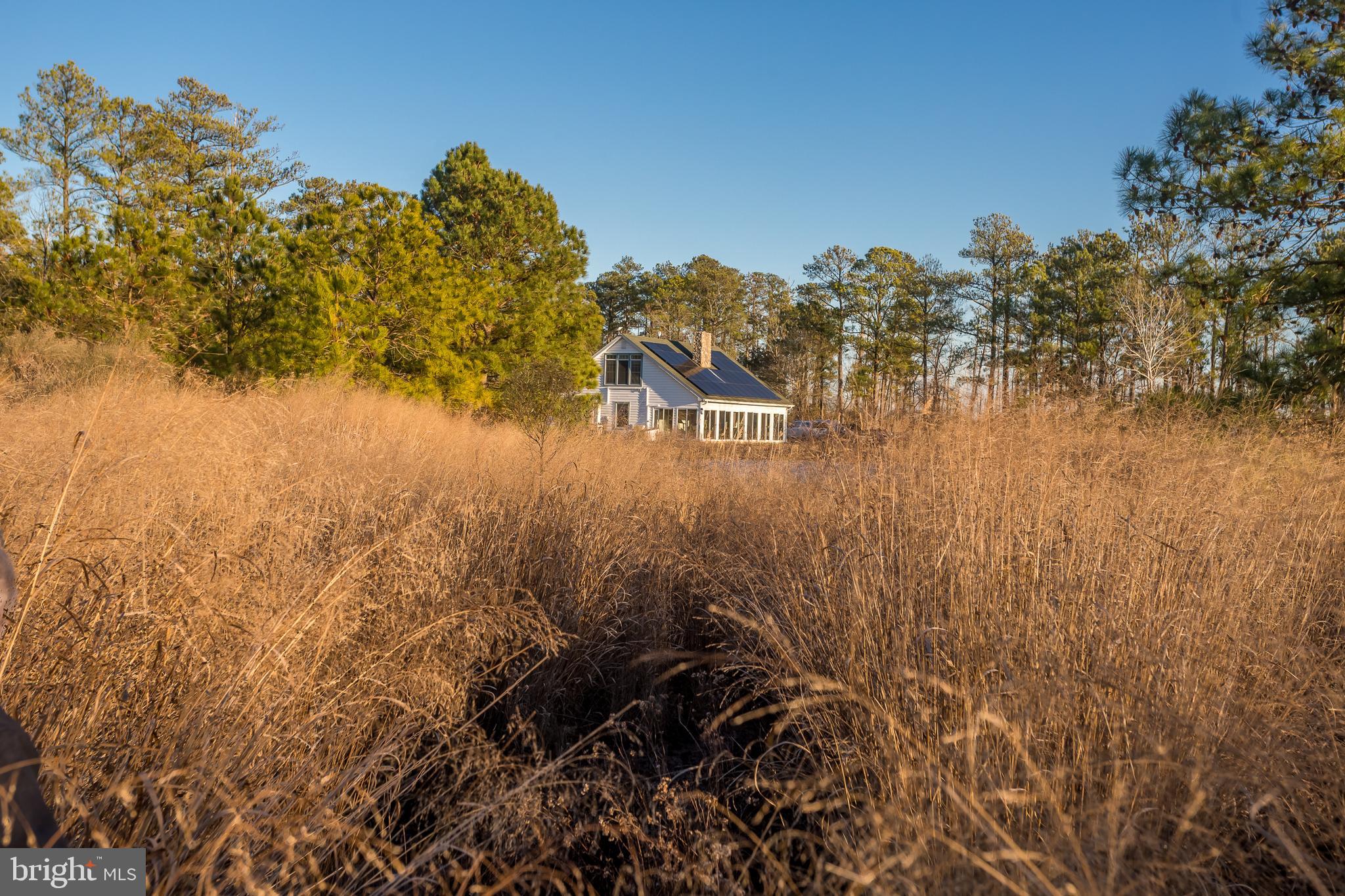 3819 Maple Dam Road Cambridge, MD 21613 - Photo 8 of 79