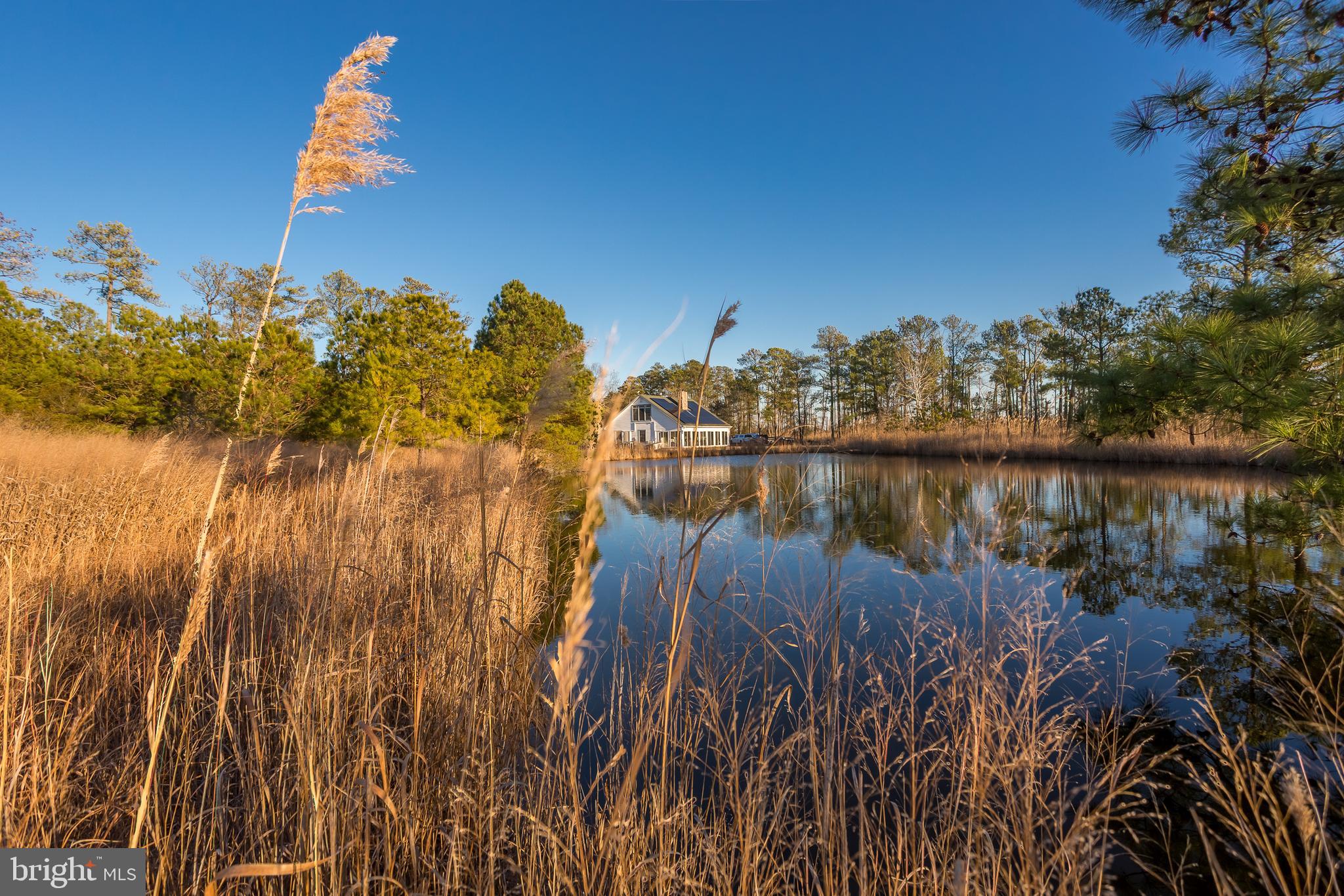 3819 Maple Dam Road Cambridge, MD 21613 - Photo 9 of 79