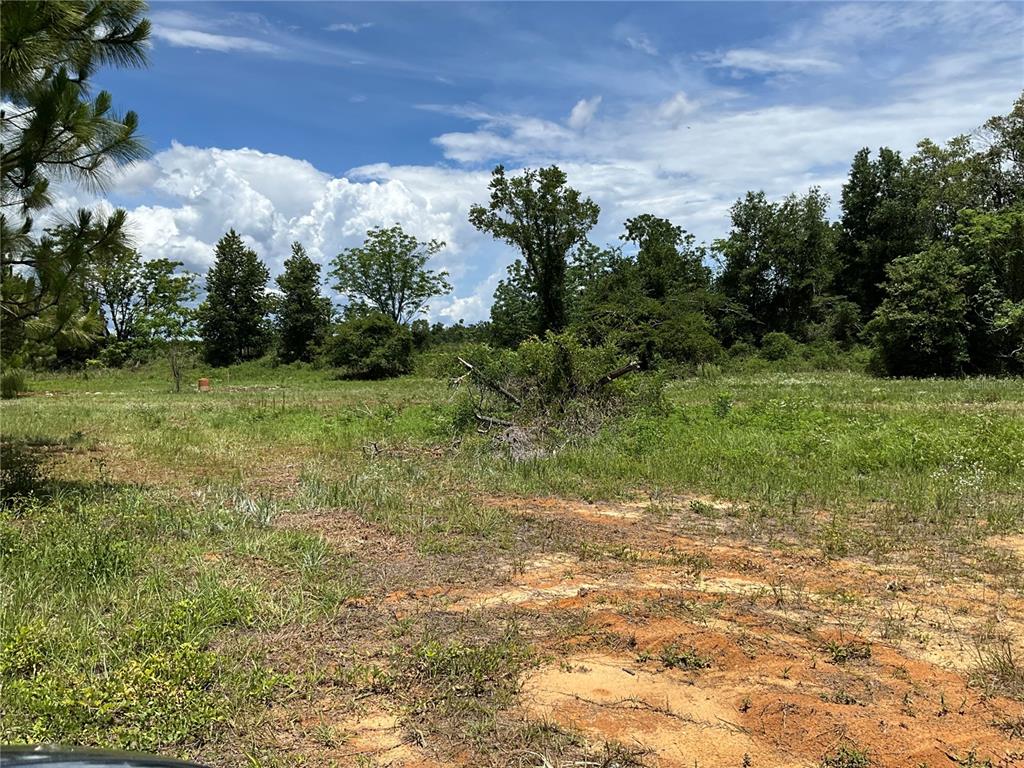 101 Hickory Lane Interlachen, FL 32148 - Photo 3 of 10 a view of a field with trees in the background