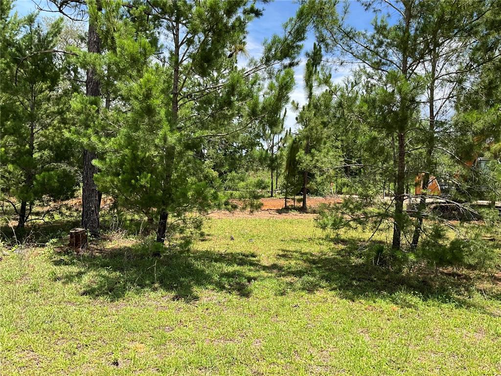 101 Hickory Lane Interlachen, FL 32148 - Photo 6 of 10 a view of yard