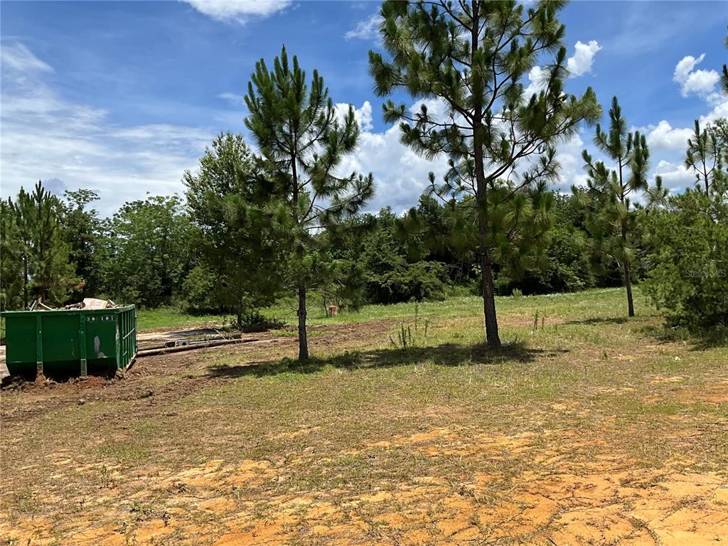 101 Hickory Lane Interlachen, FL 32148 - Photo 8 of 10 a backyard of a house with lots of green space