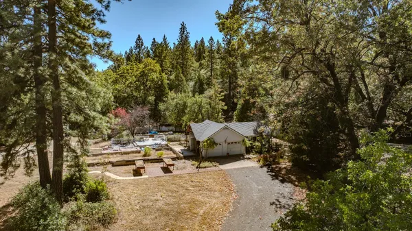 a view of a backyard with plants and trees