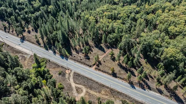 a view of a forest with a street