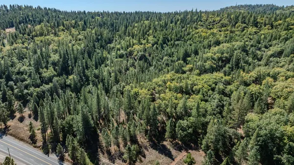 a view of a lush green forest with a lush green forest