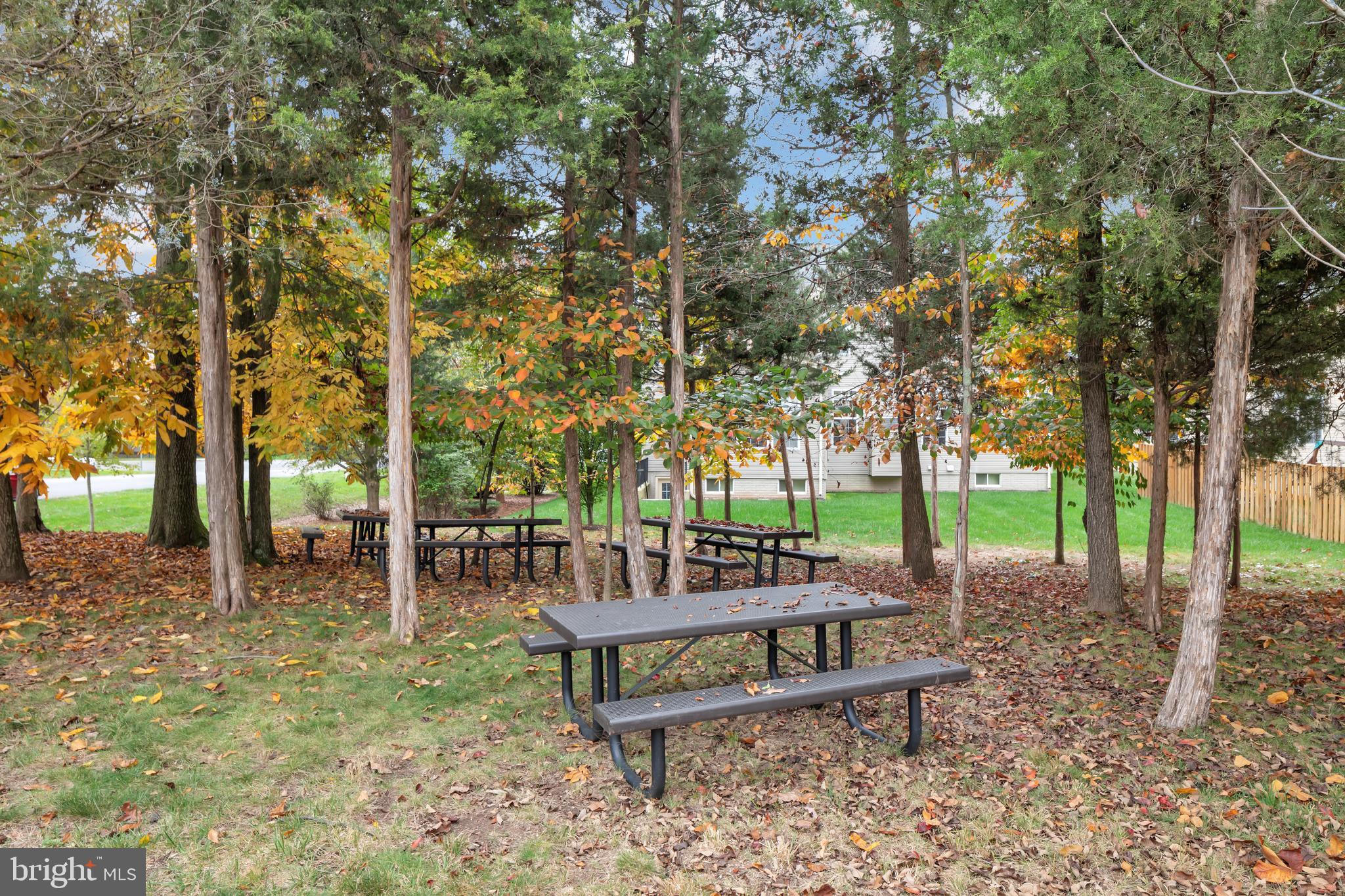 7581 Rio Grande Way Gainesville, VA 20155 - Photo 52 of 52 community picnic area across street from home