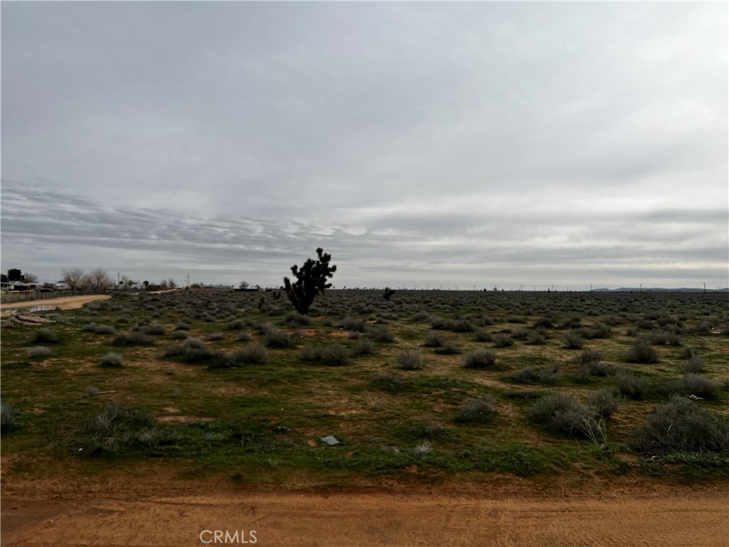 0 20 20 Mule Team Road Boron, CA 93516 - Photo 19 of 22