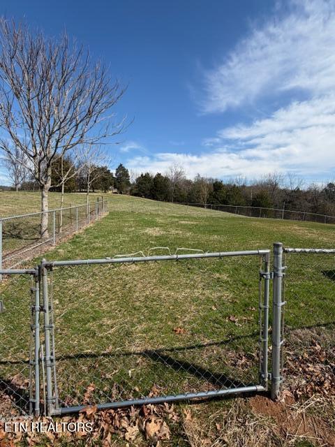 1437 Beacon Road Talbott, TN 37877 - Photo 8 of 28 IMG_7081