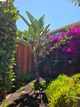 a picture of flowers
