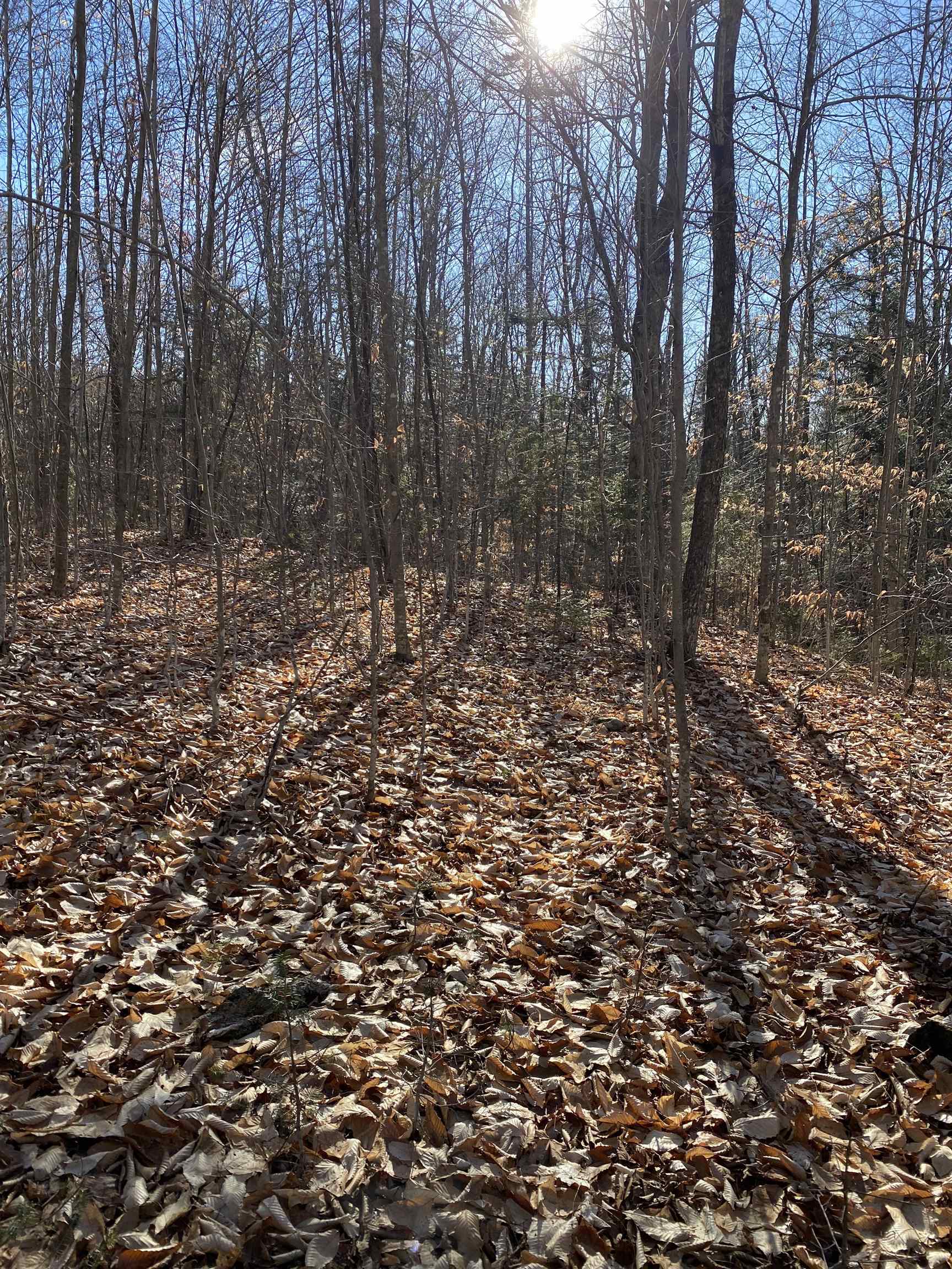 233 Taylor Valley Road Strafford, VT 05072 - Photo 3 of 11