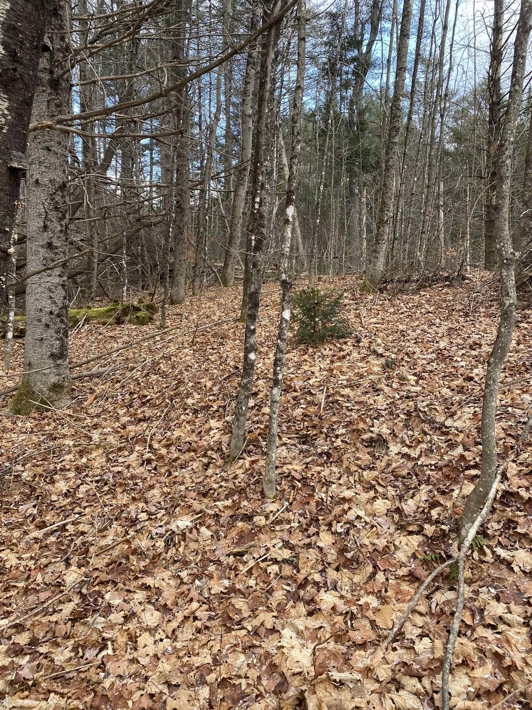 233 Taylor Valley Road Strafford, VT 05072 - Photo 8 of 11