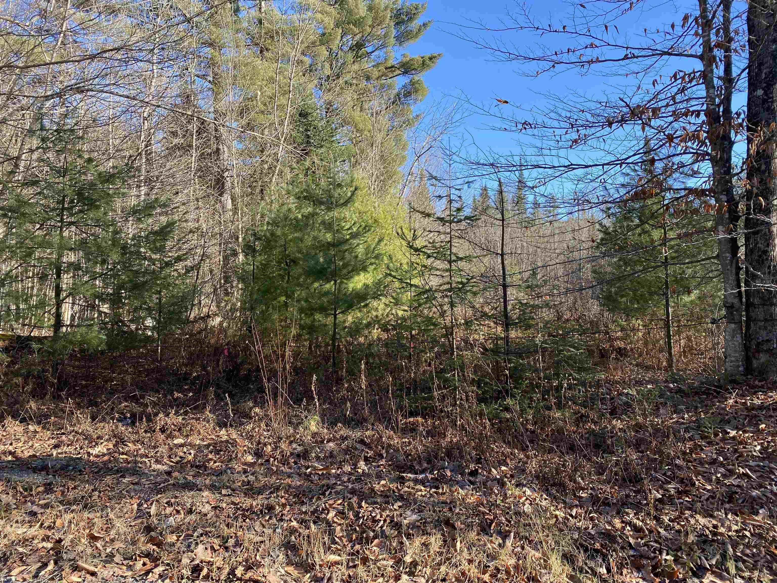 233 Taylor Valley Road Strafford, VT 05072 - Photo 9 of 11