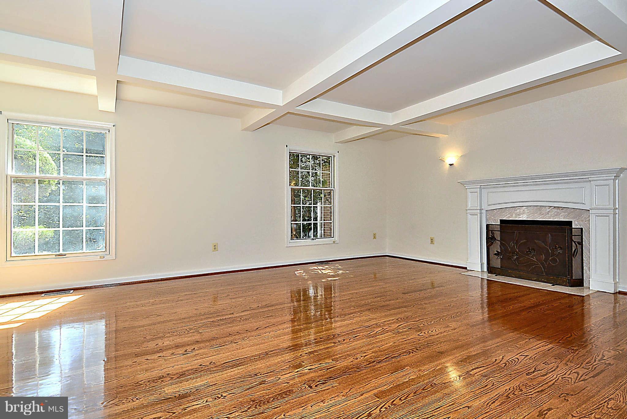 720 Clear Spring Road Great Falls, VA 22066 - Photo 12 of 30 Embassy size w/ coffered ceiling