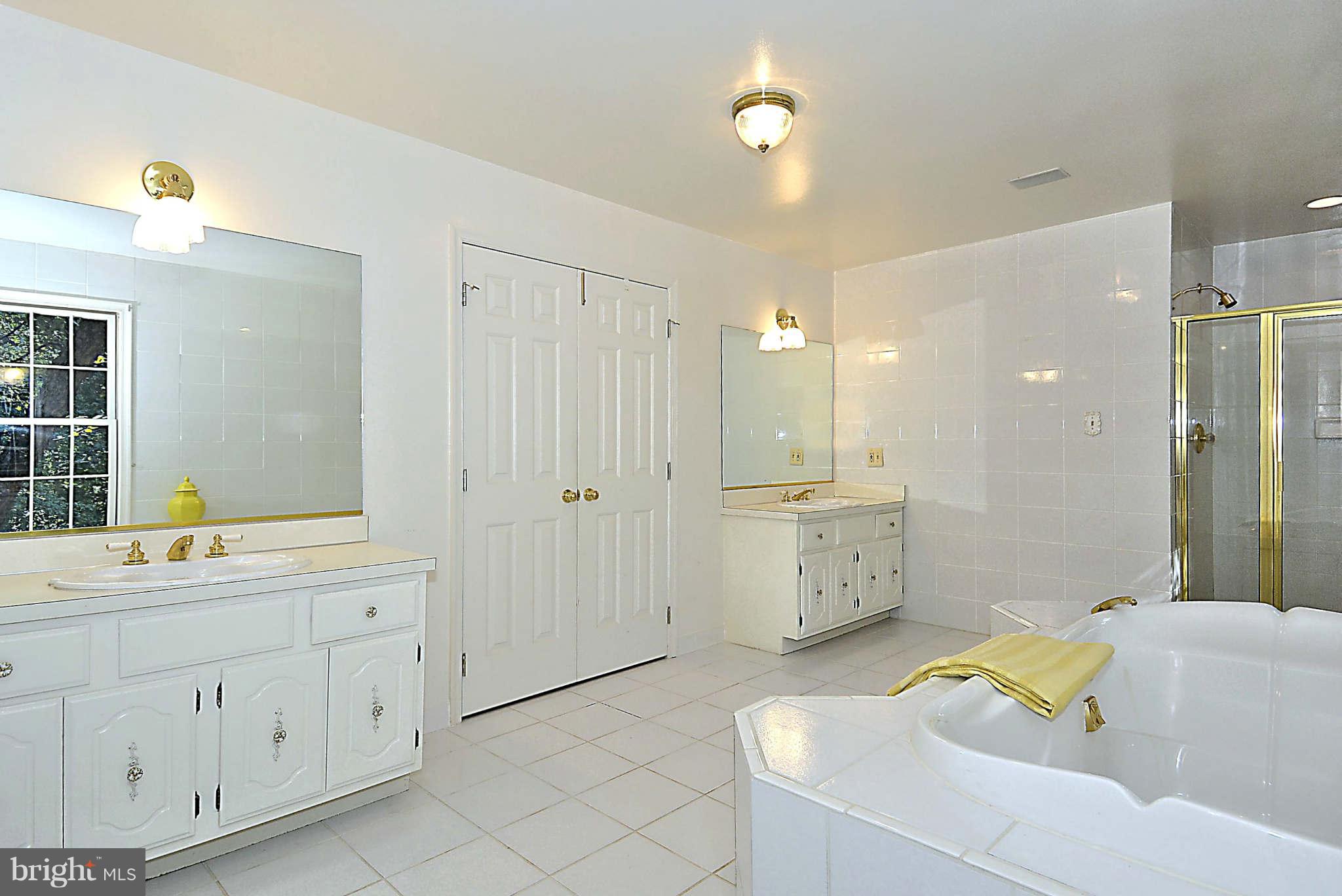 720 Clear Spring Road Great Falls, VA 22066 - Photo 17 of 30 Main level master bath