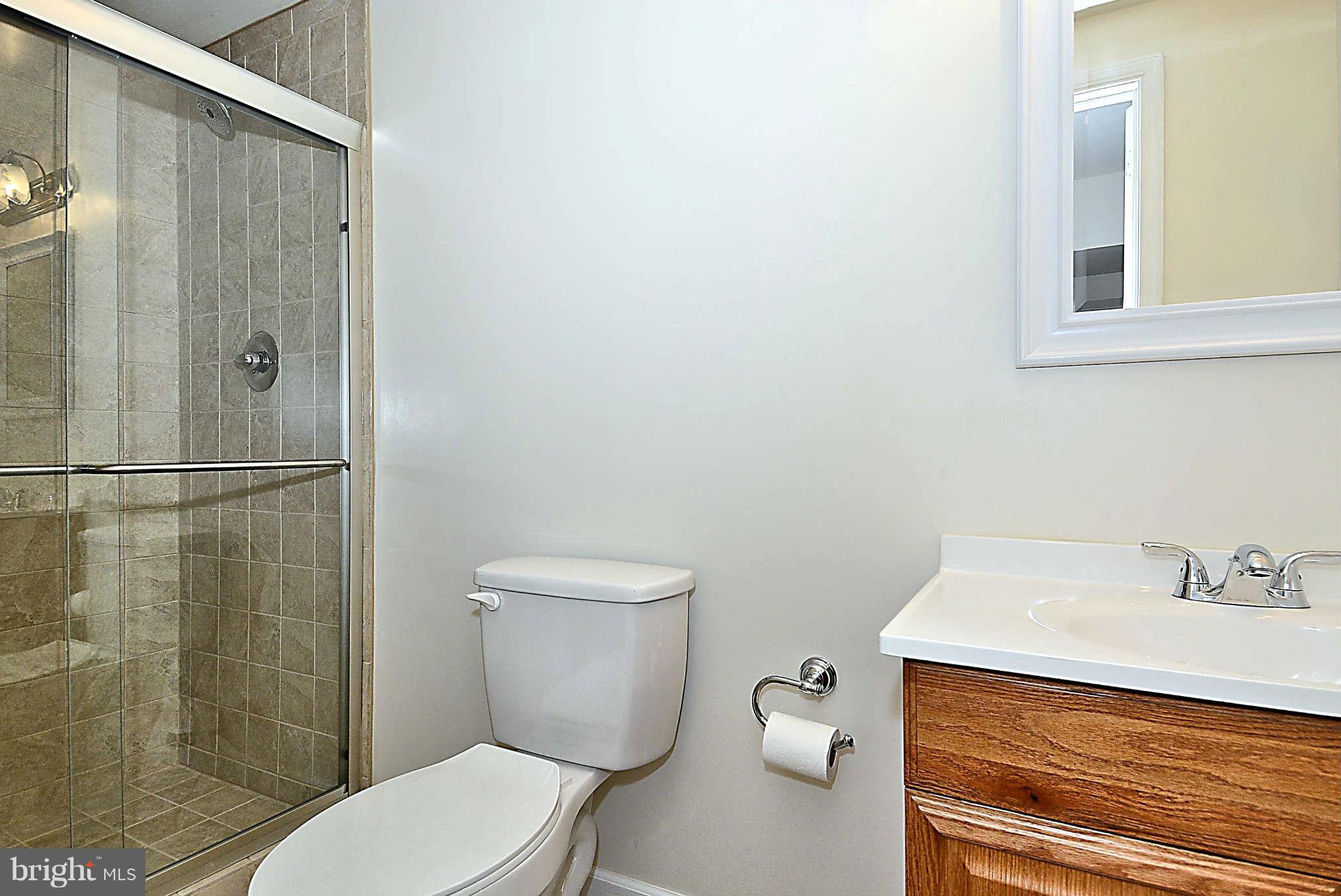 720 Clear Spring Road Great Falls, VA 22066 - Photo 26 of 30 1 of 2 new baths in the lower level