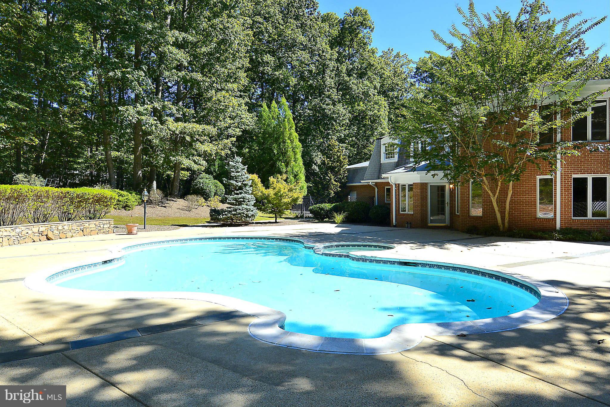 720 Clear Spring Road Great Falls, VA 22066 - Photo 28 of 30 huge heated pool and spa