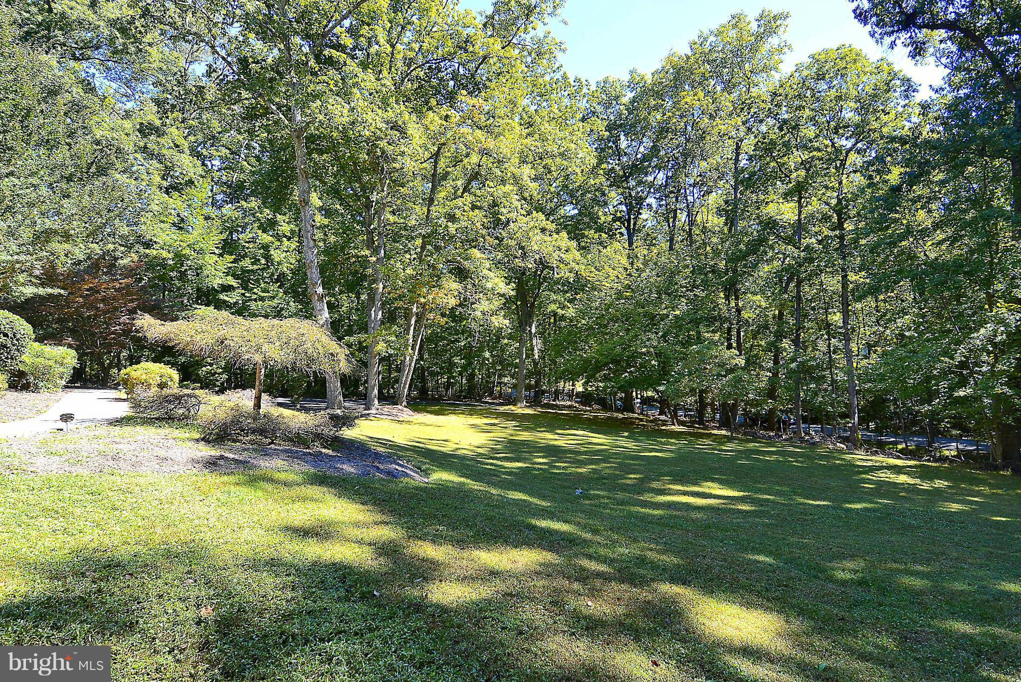720 Clear Spring Road Great Falls, VA 22066 - Photo 29 of 30 5.36 Gorgeous acres