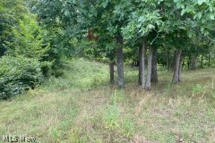 Johnny Woods River Road Cumberland, OH 43732 - Photo 10 of 10