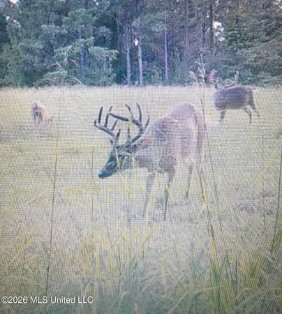 $3,100,000 | 773 Harges Road, Grenada, MS 38901