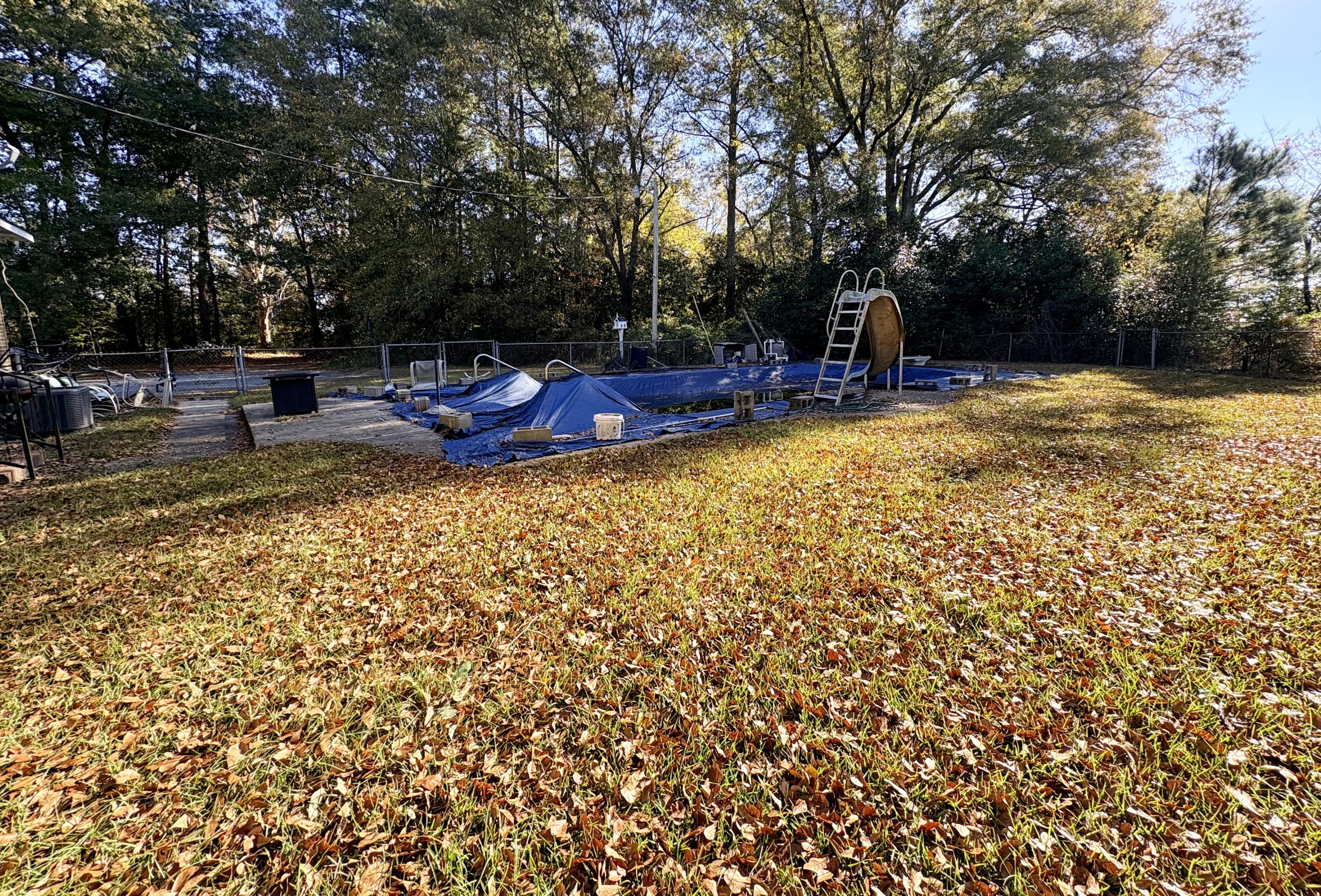 1409 Fairview Road Pelion, SC 29123 - Photo 43 of 52
