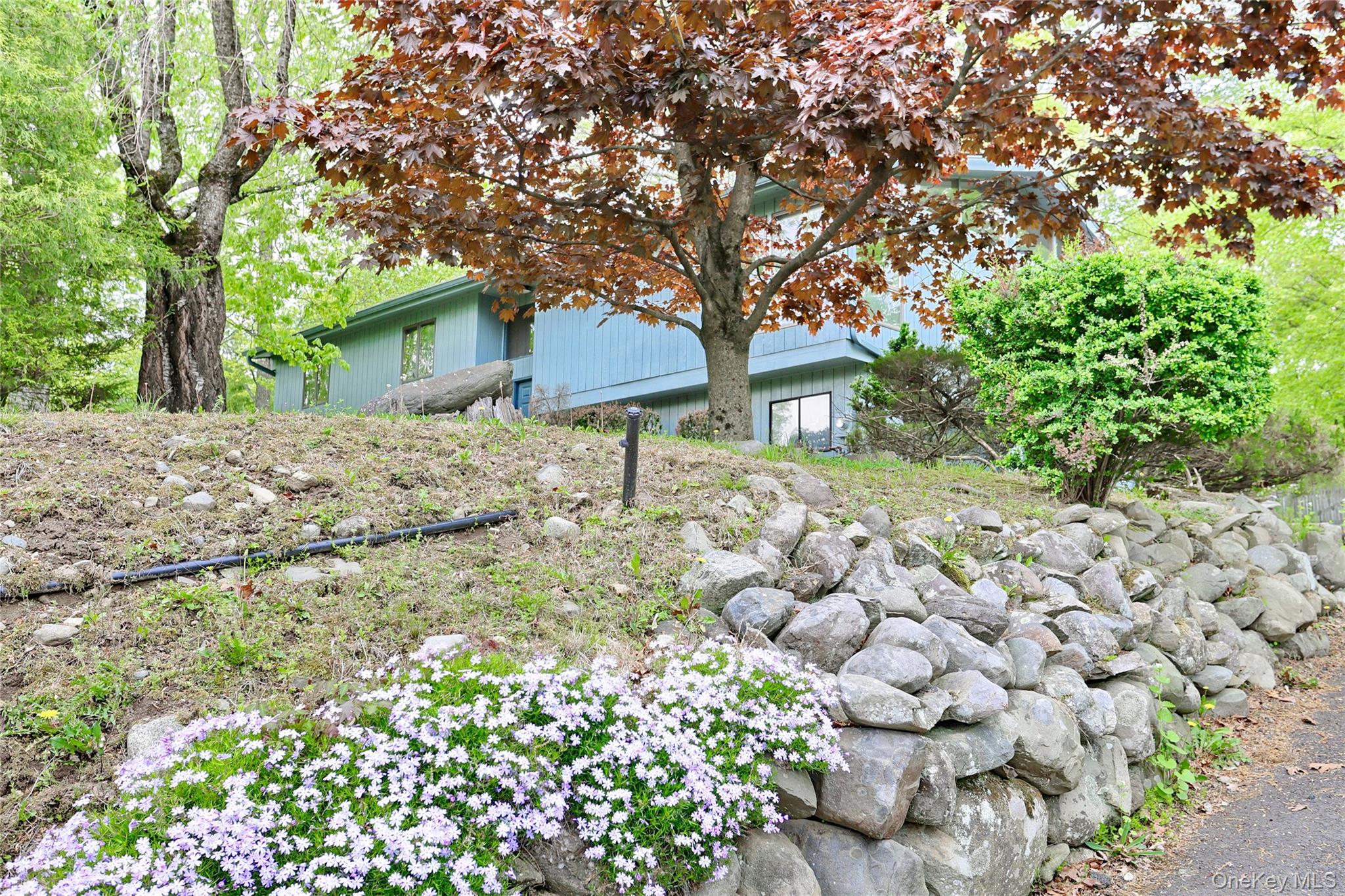 23 Sherwood Ridge Road Pomona, NY 10970 - Photo 25 of 28 a tree in a yard with a tree