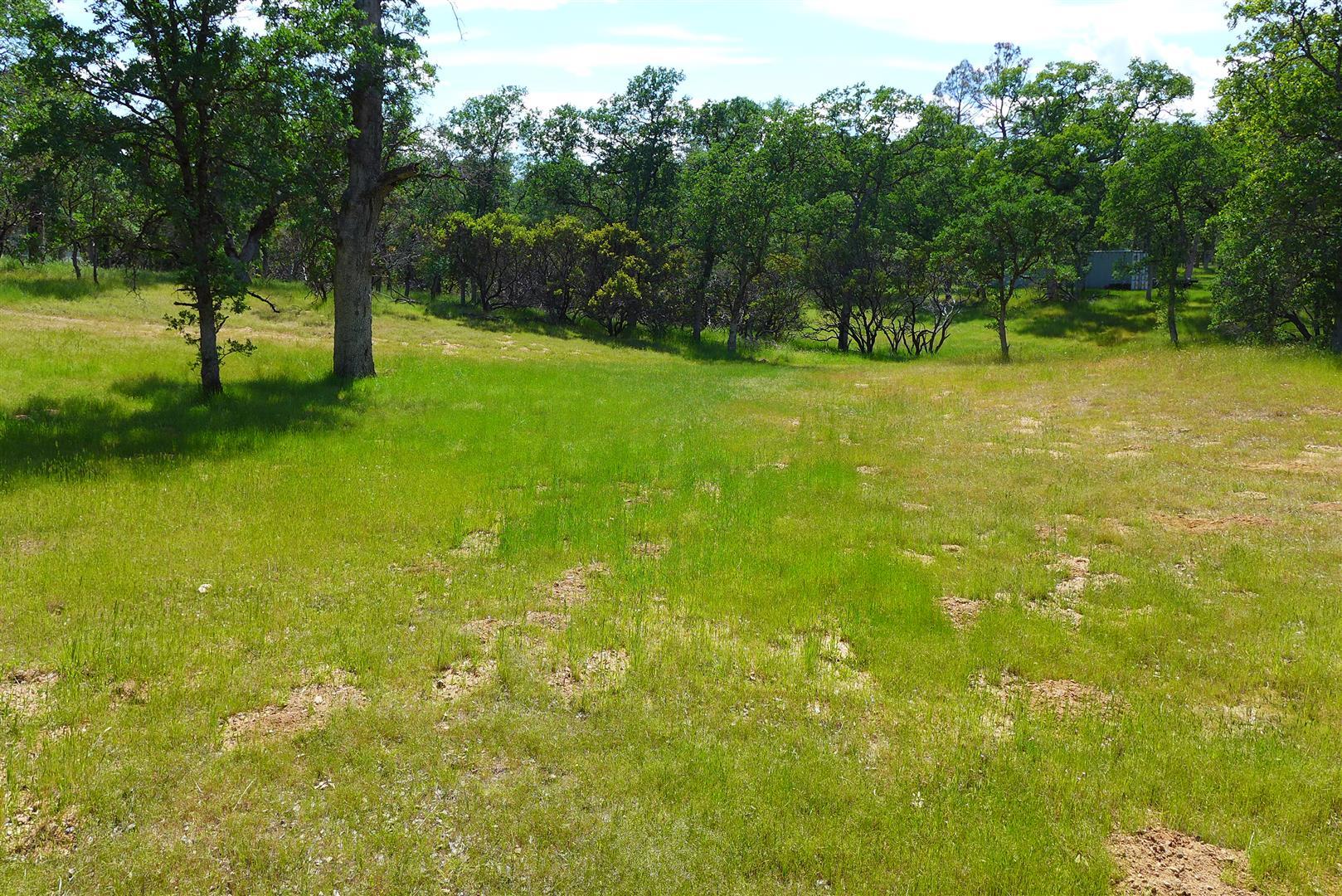 Two Two Feathers Road Cottonwood, CA 96022 - Photo 7 of 25 P1030154
