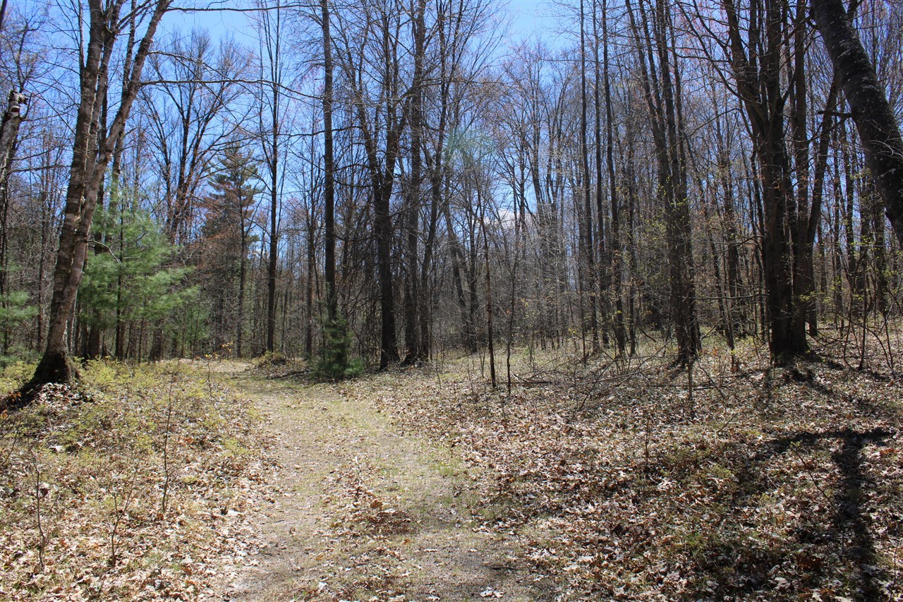 11401 Little George Lake Road Gladwin, MI 48624 - Photo 39 of 72
