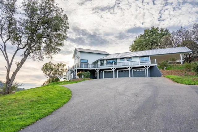 a view of a trees in a park