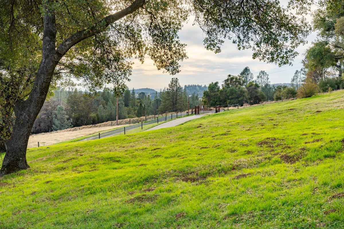 16000 Southridge Road Penn Valley, CA 95946 - Photo 50 of 60