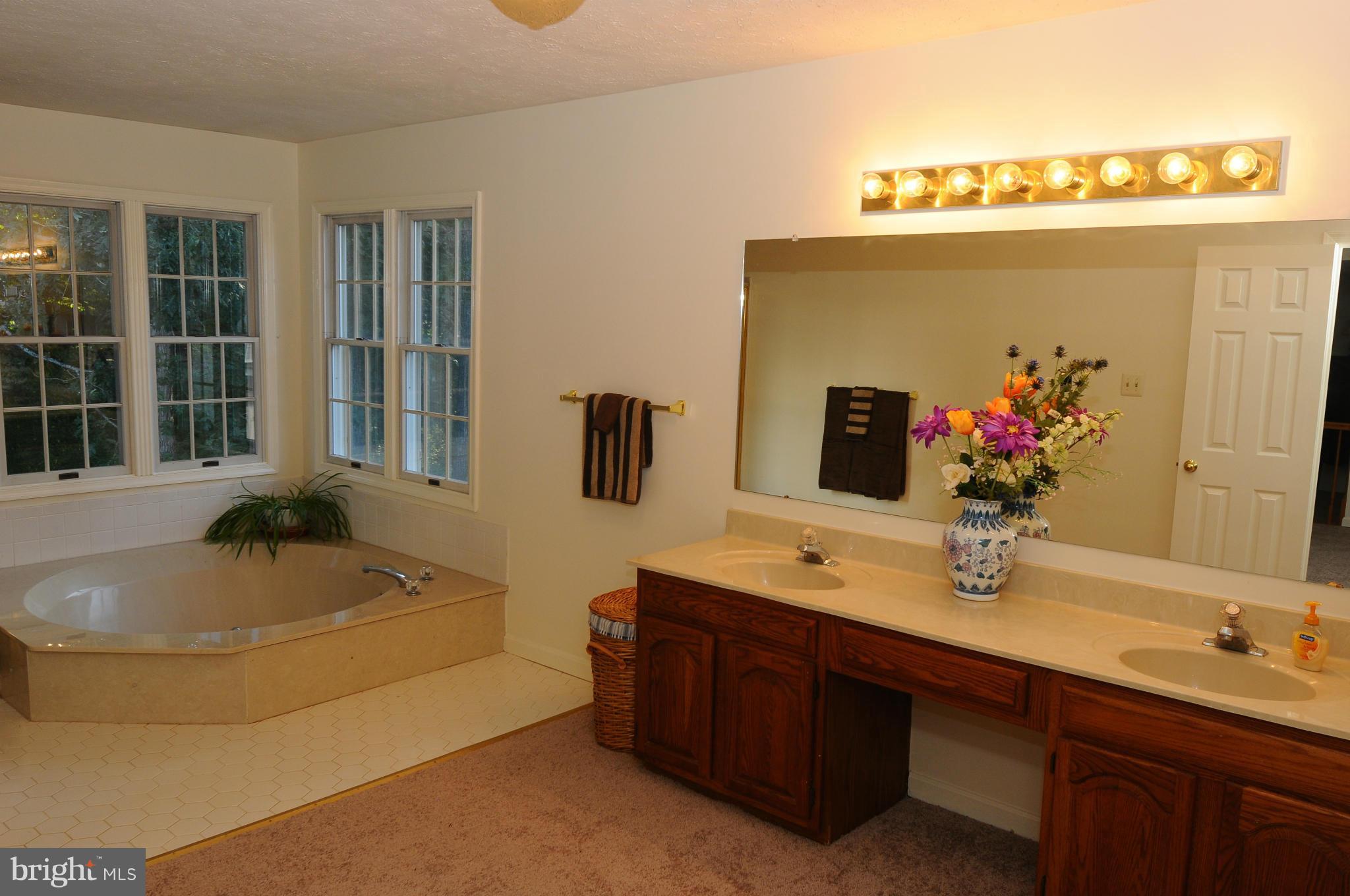 76 Rutherford Circle Sterling, VA 20165 - Photo 14 of 27 Bath (Master)