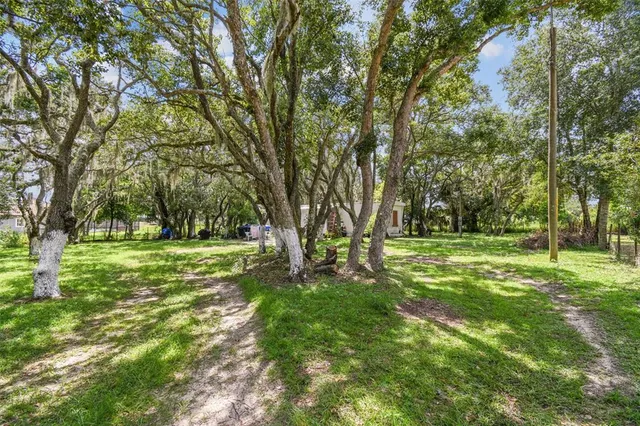 a view of a park with trees in the background