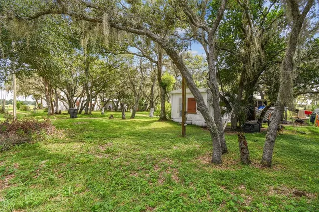 a view of yard with trees