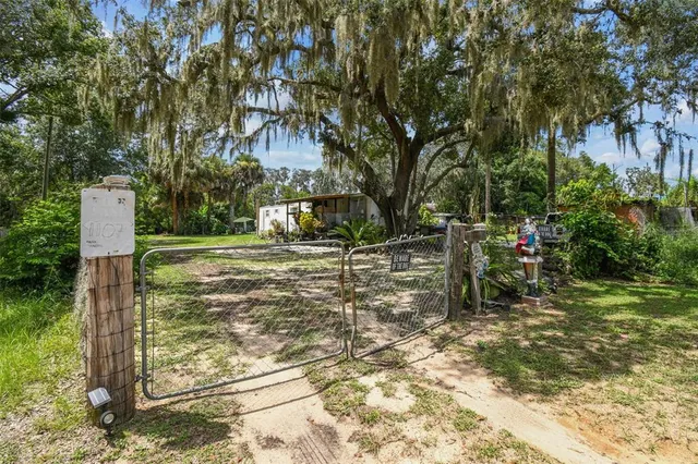 a view of yard with tree