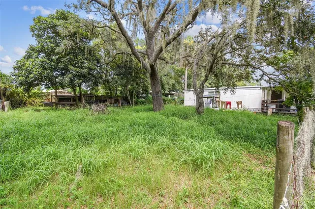 a backyard of a house with lots of green space