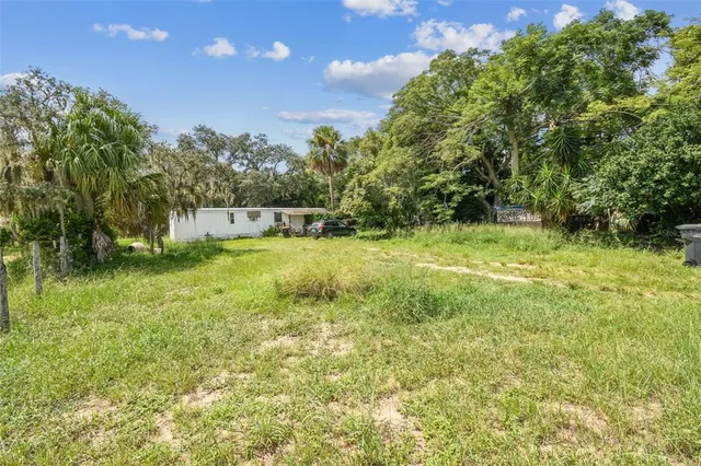 a view of a green yard with large trees