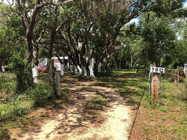a view of a park with large trees
