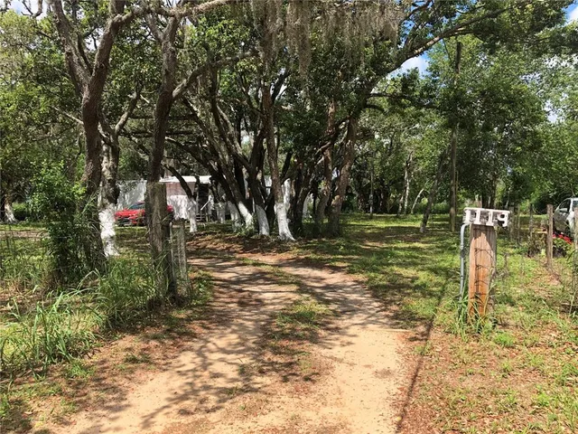 a view of a park with large trees