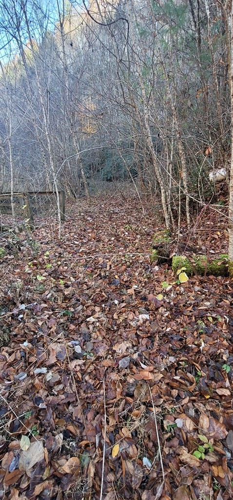 2 Wilhite Road Cosby, TN 37722 - Photo 23 of 24