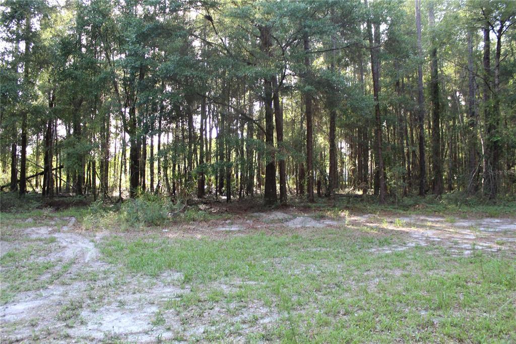 15821 Redbird Road Archer, FL 32618 - Photo 6 of 22