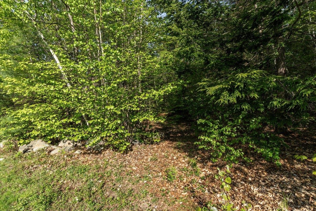 288 Crowley Road Candia, NH 03034 - Photo 32 of 59