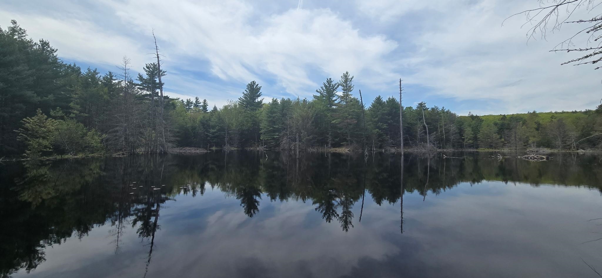 288 Crowley Road Candia, NH 03034 - Photo 59 of 59