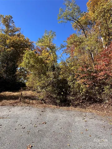 a view of a dry yard with trees in the background