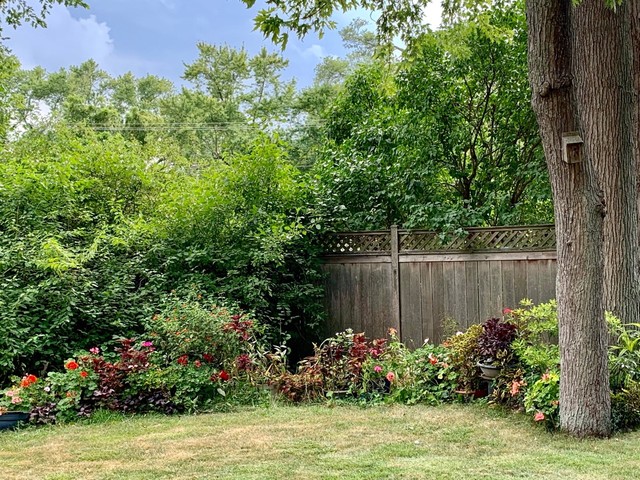 2785 Shannon Road Northbrook, IL 60062 - Photo 21 of 21 a view of a garden with a lake