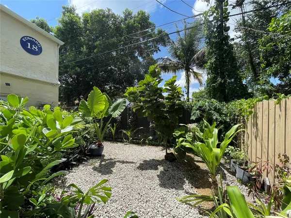 a view of a garden with plants