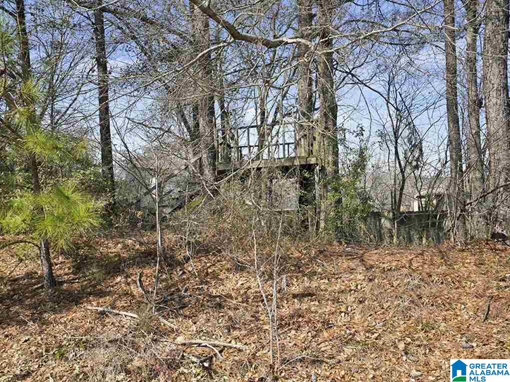 116 King Arthur Place Alabaster, AL 35007 - Photo 25 of 31