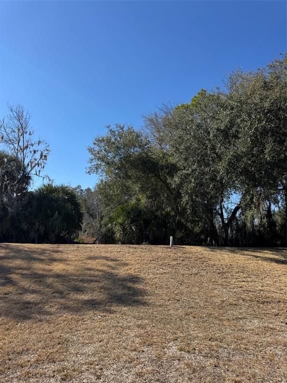 15296 Southwest 15th Terrace Road Ocala, FL 34473 - Photo 5 of 6 a view of basketball court